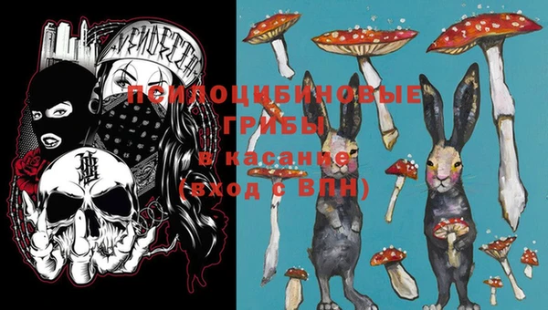 марки lsd Богородицк