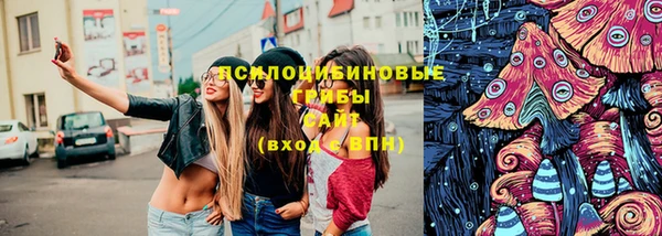 мдпв Каменногорск