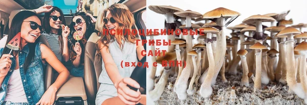 марки lsd Богородицк