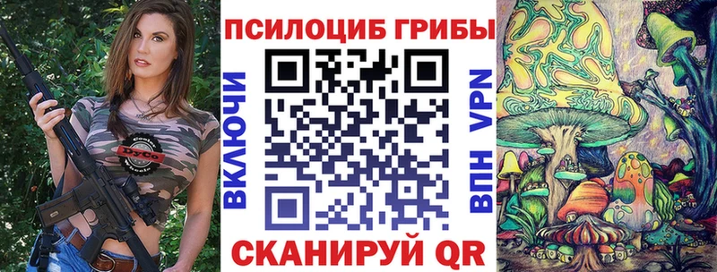 Псилоцибиновые грибы Psilocybine cubensis  Озёрск 